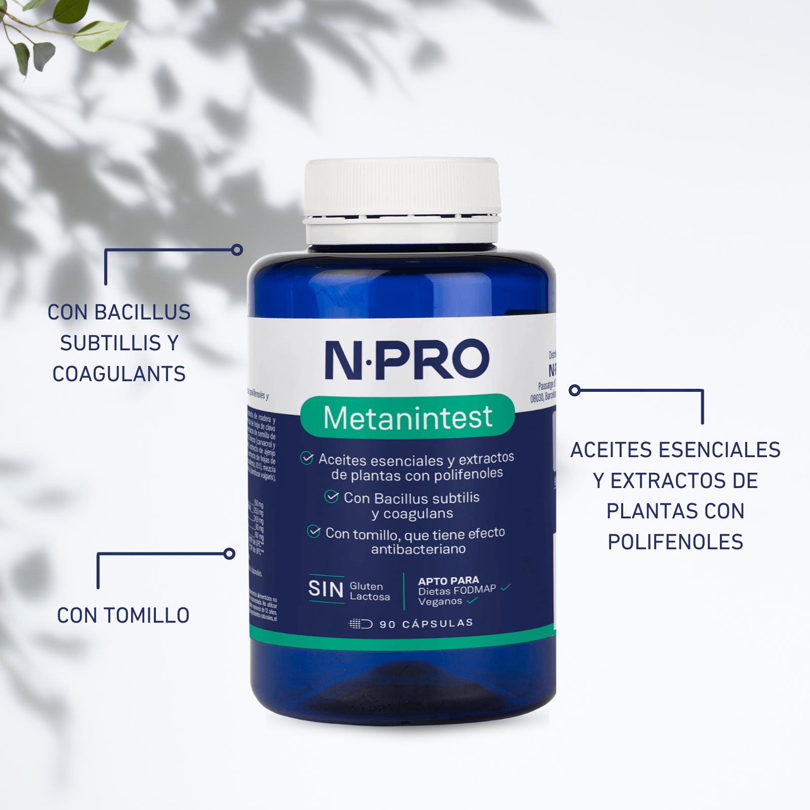 Metanintest - Image 4